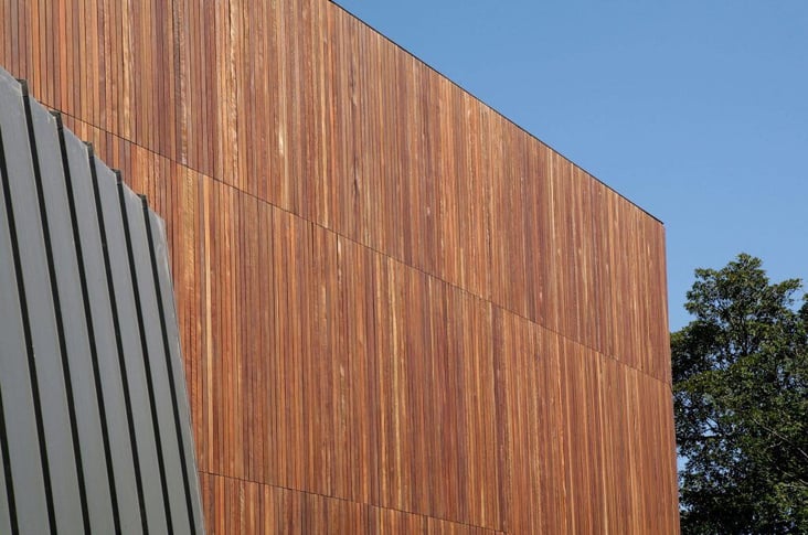 What Causes Timber Movement | Sculptform