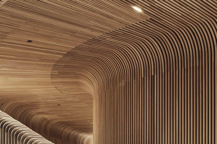 Choose the Best Curved Timber Option | Sculptform