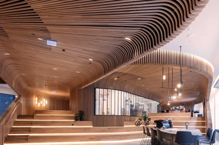 How Our Curved Timber Is Manufactured | Sculptform