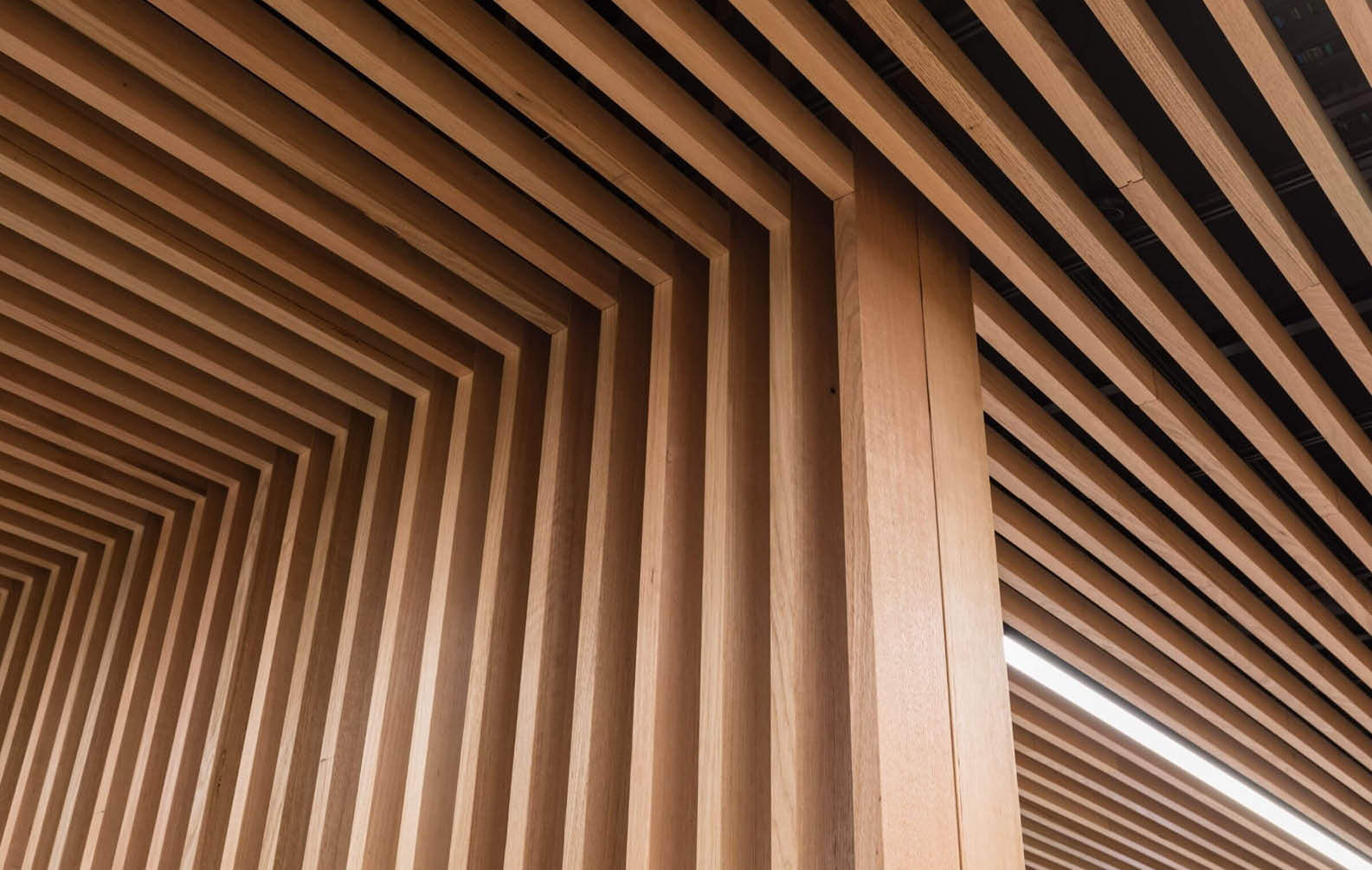 apl-office-timber-battens_05