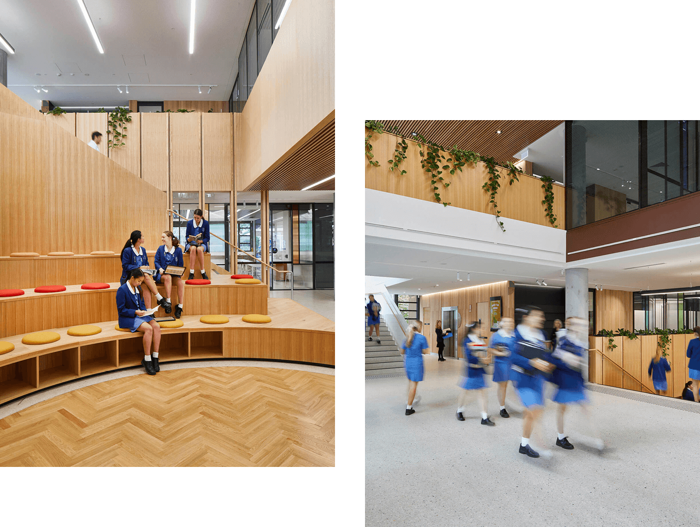 click-on-batten-ceilings-at-monte-stant-angelo-mercy-college_06