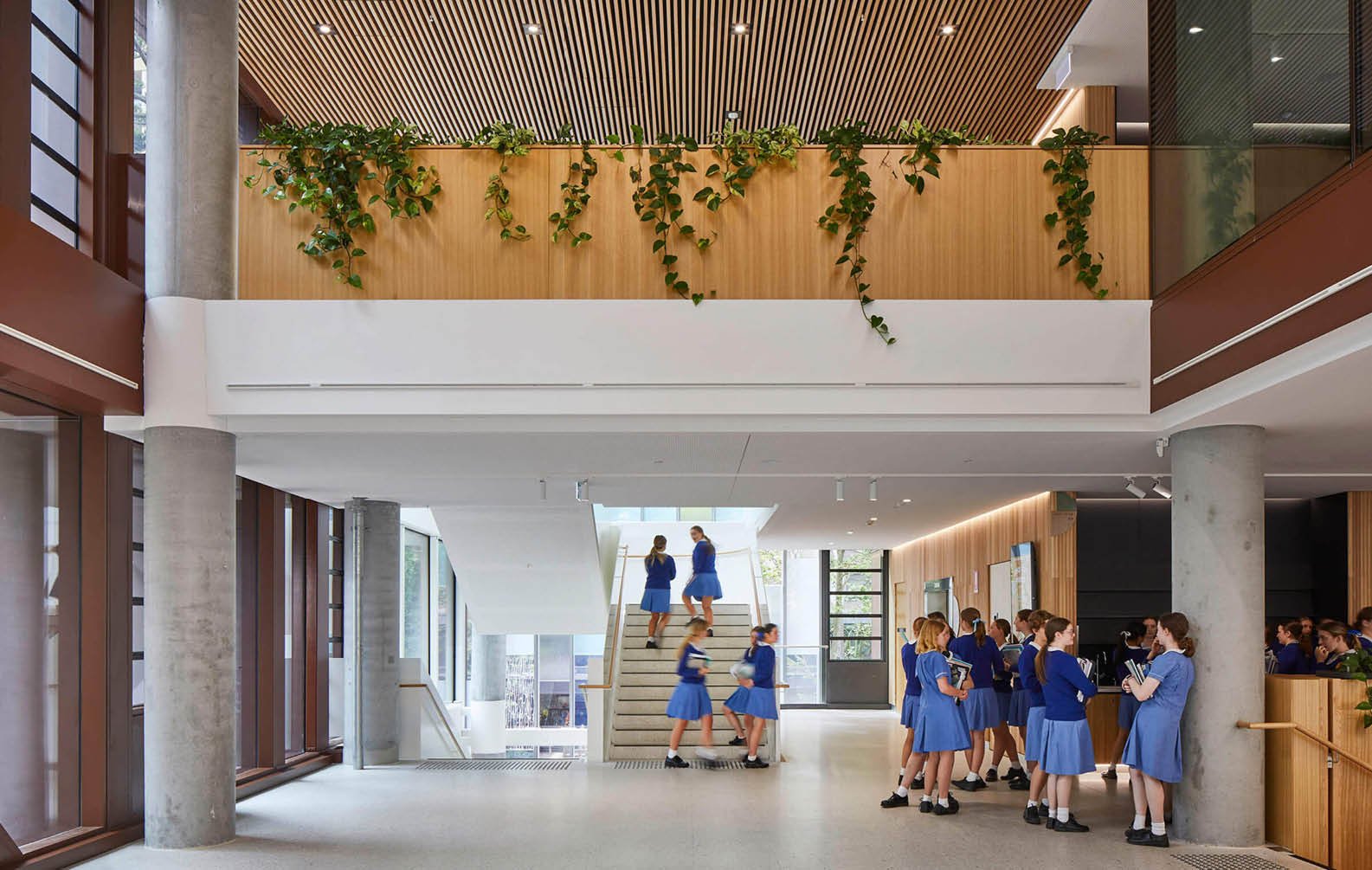 click-on-batten-ceilings-at-monte-stant-angelo-mercy-college_12