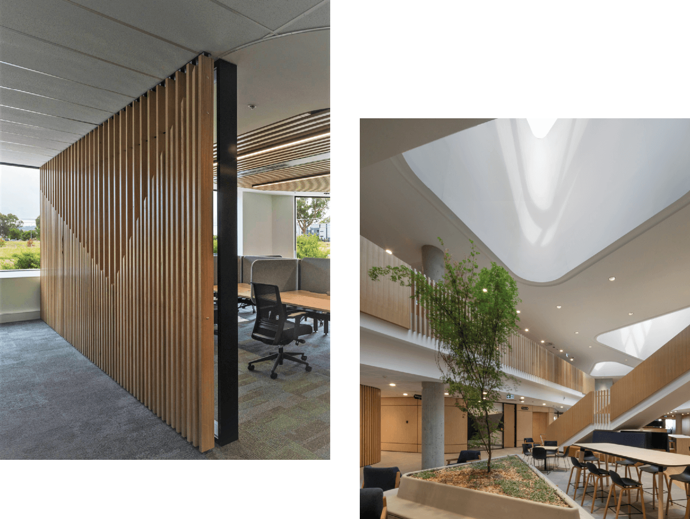 defence-housing-australia-gungahlin-office_06