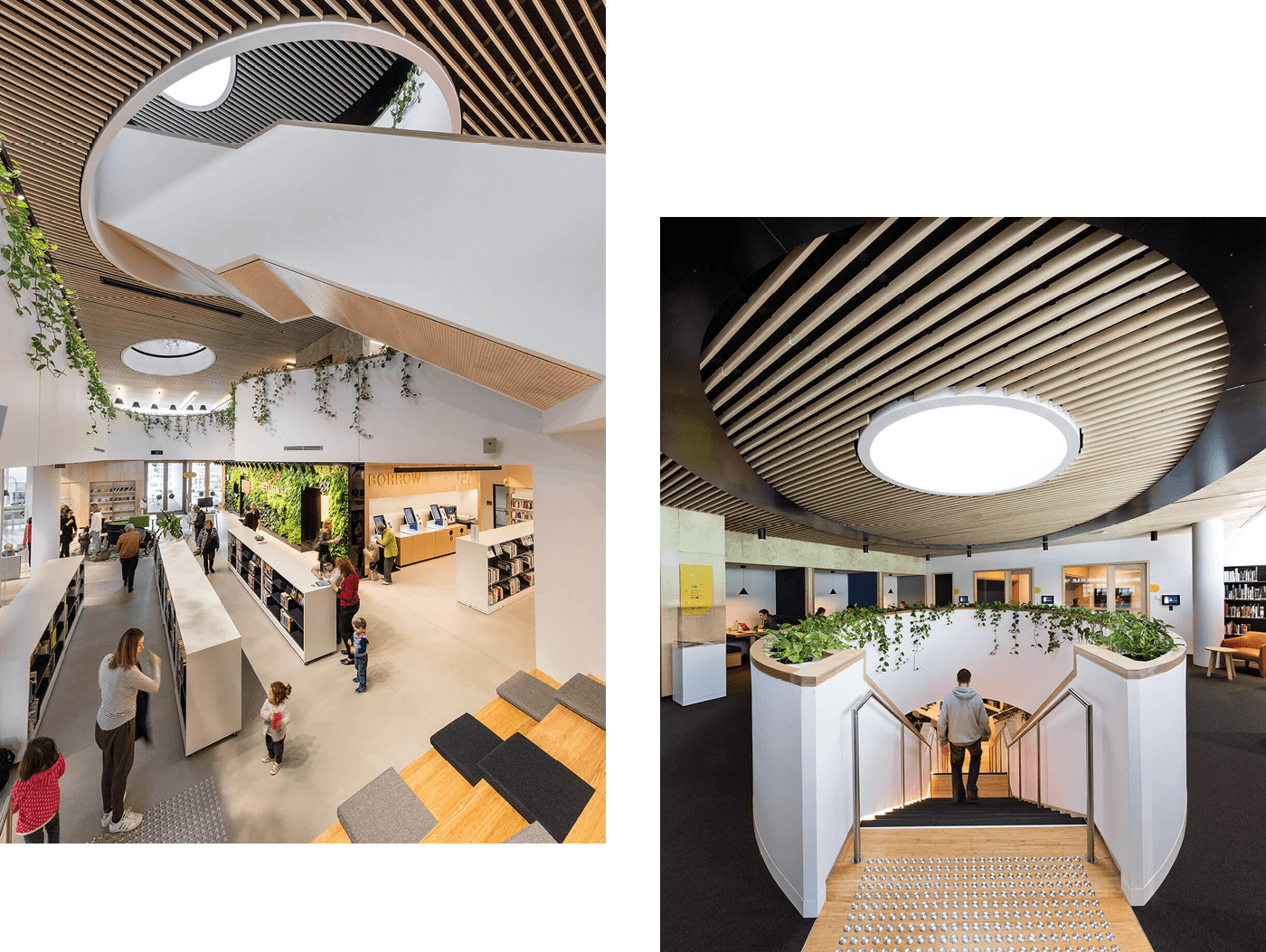 double-bay-library_05