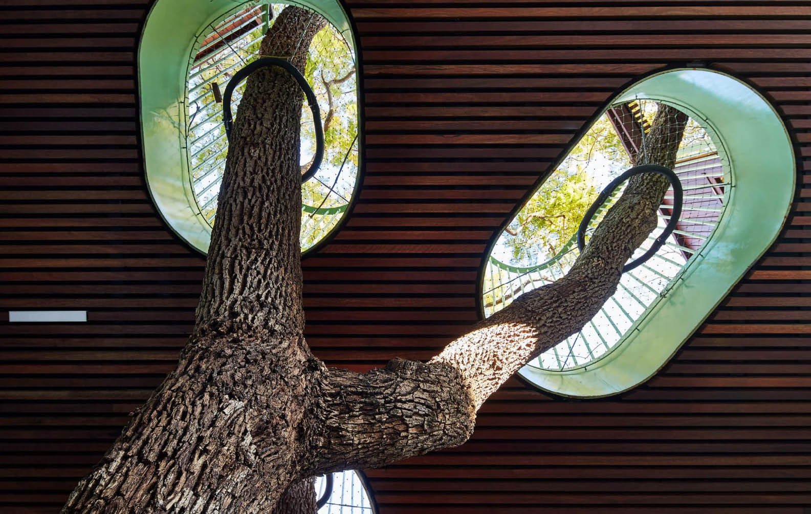 east-sydney-early-learning-centre_08