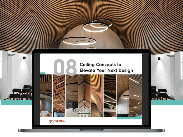 laptop_with_ceiling_projects