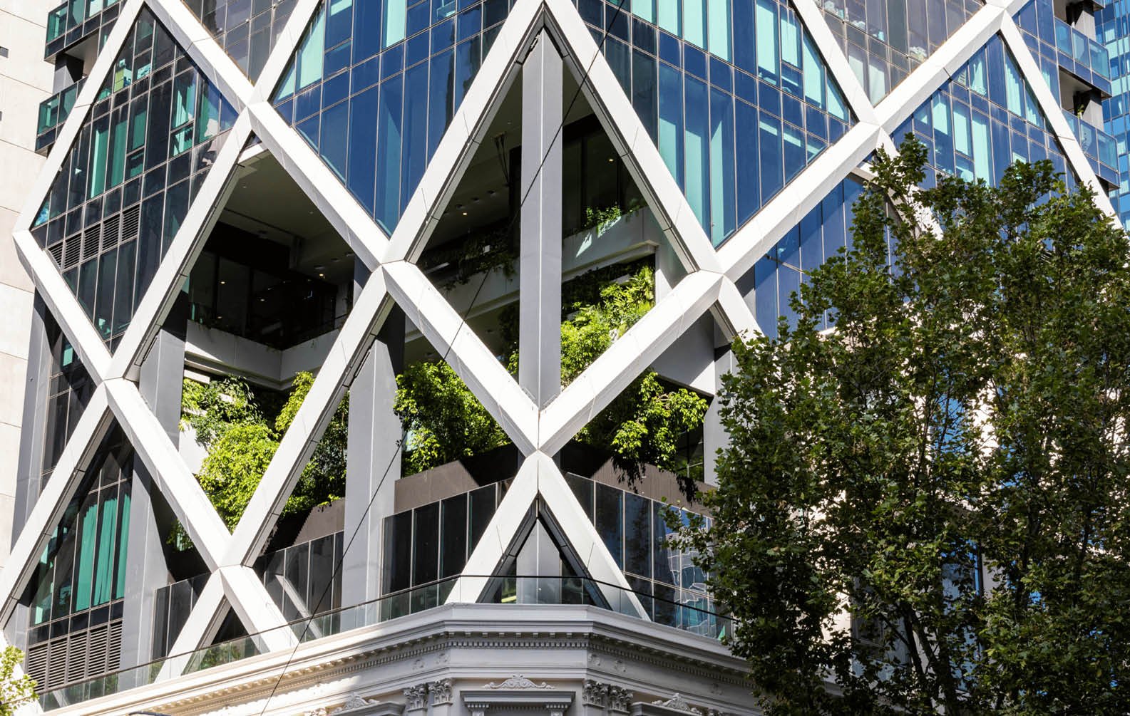 paragon-melbourne_12