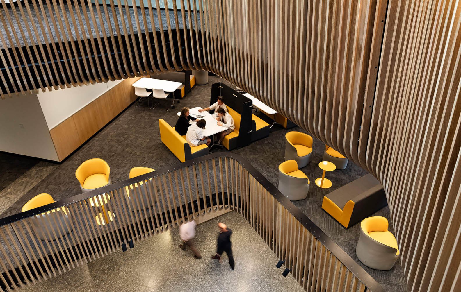 sir-zelman-cowen-centre-for-science-scotch-college_09