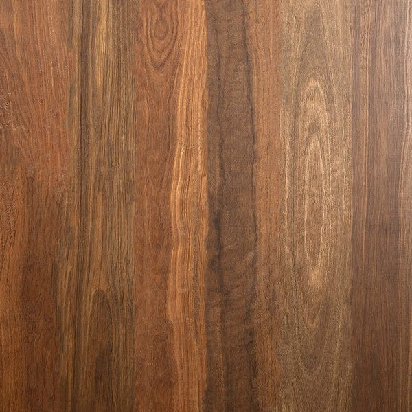 spotted_gum-600x600