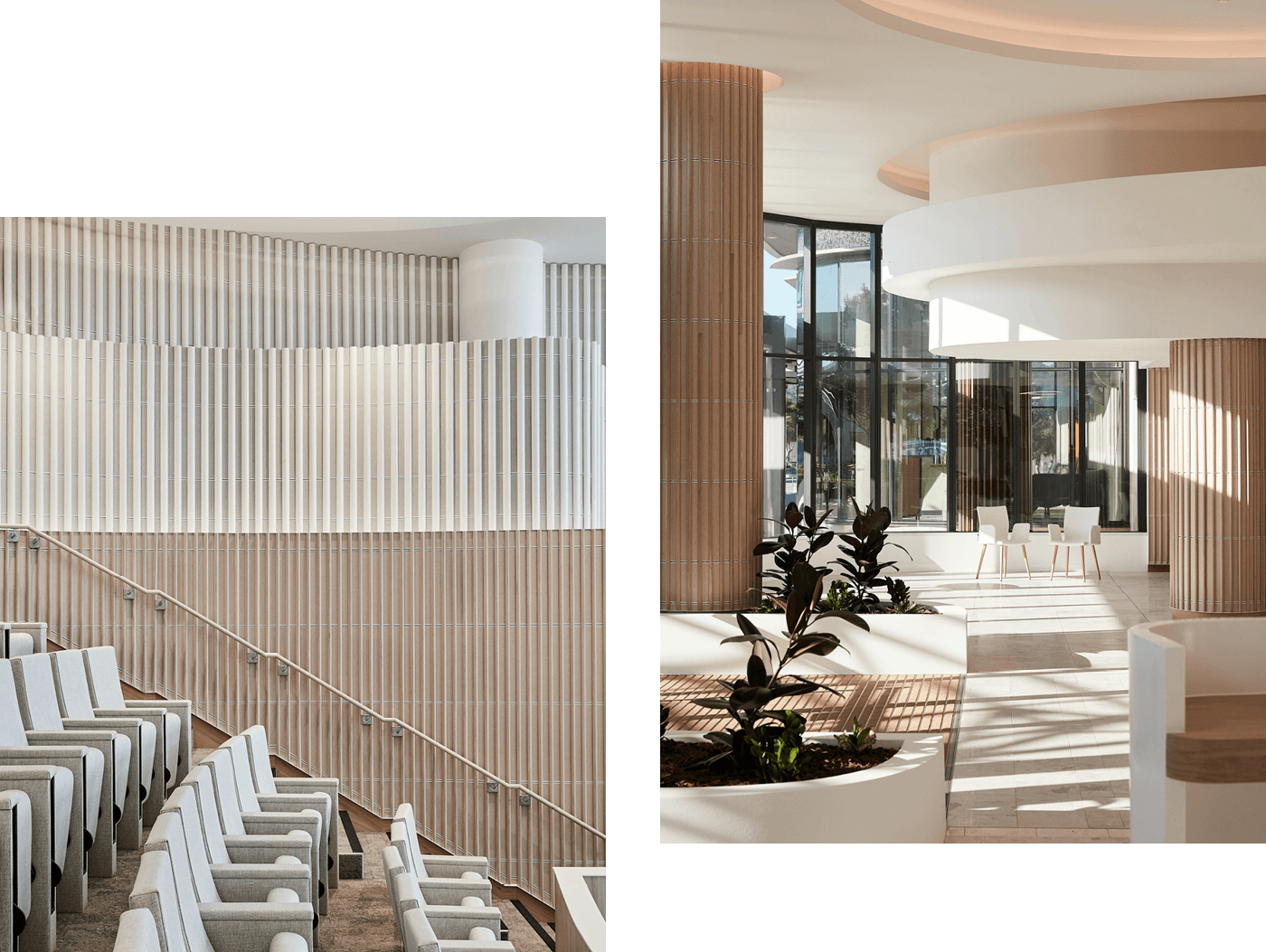 sunshine-coast-city-hall_07
