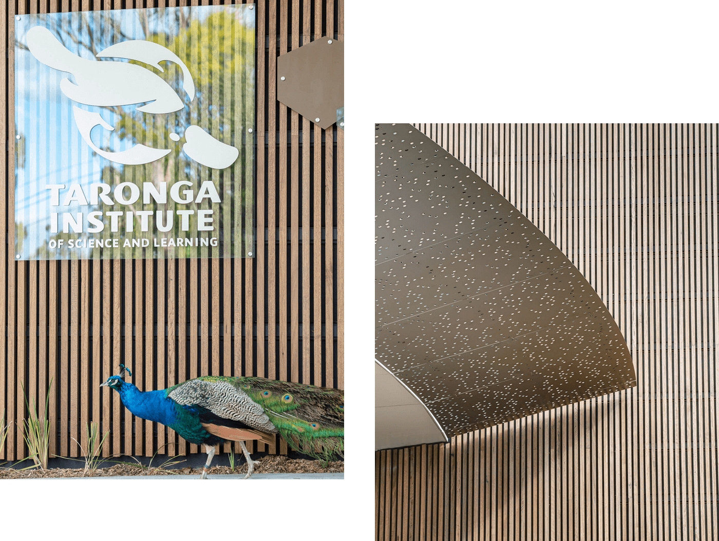 taronga-zoo-institute-of-science-and-learning_08