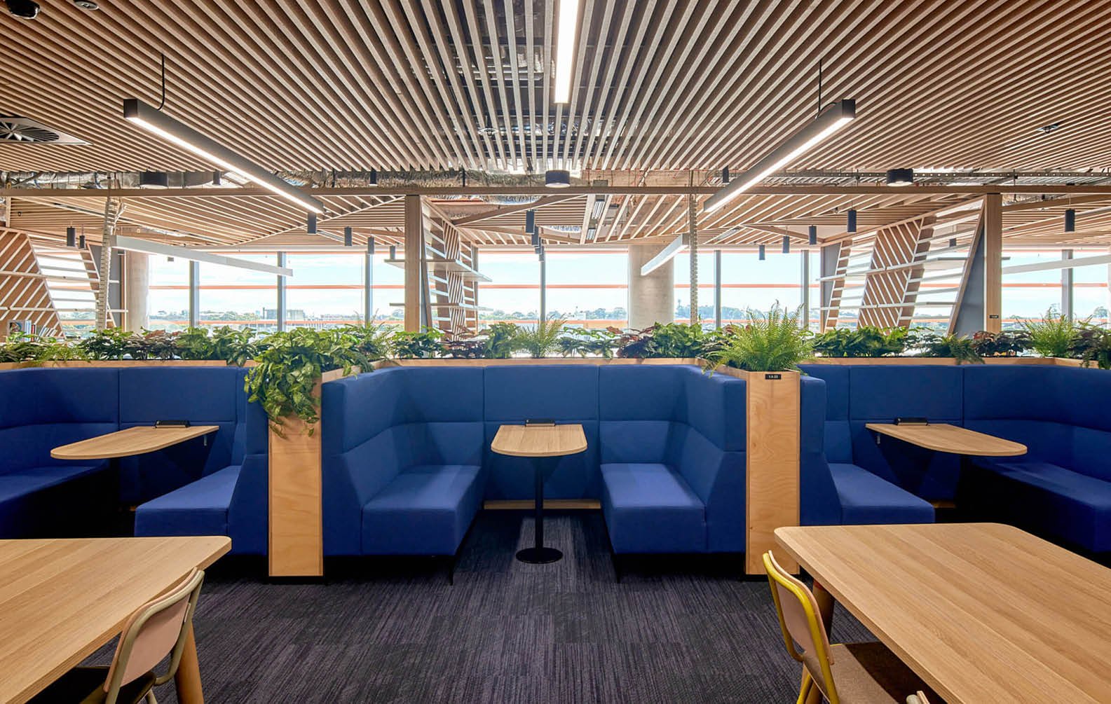 timber-ceiling-angles-at-western-sydney-university_06