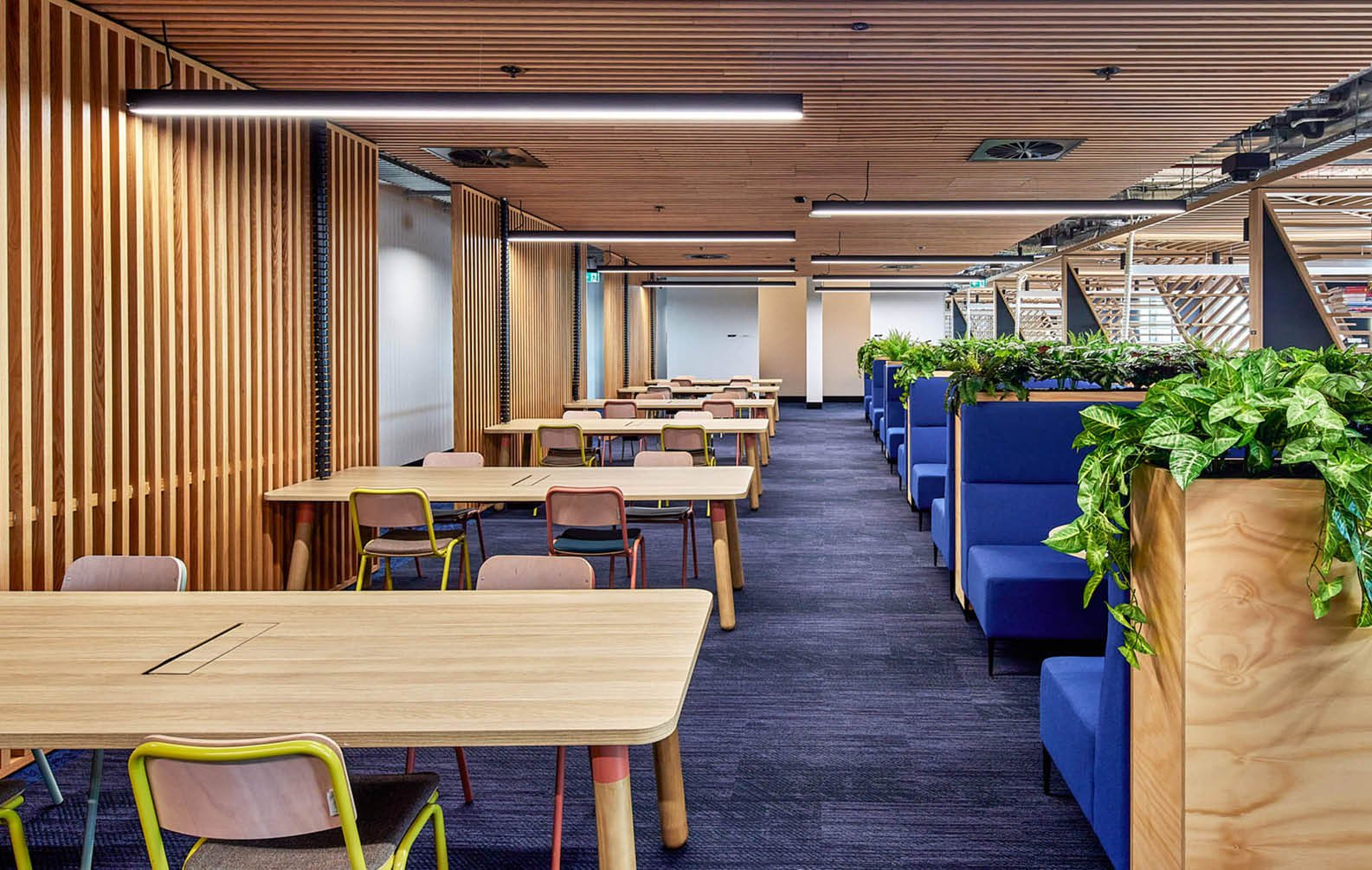 timber-ceiling-angles-at-western-sydney-university_07