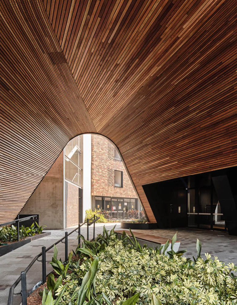 timber-species_spotted-gum