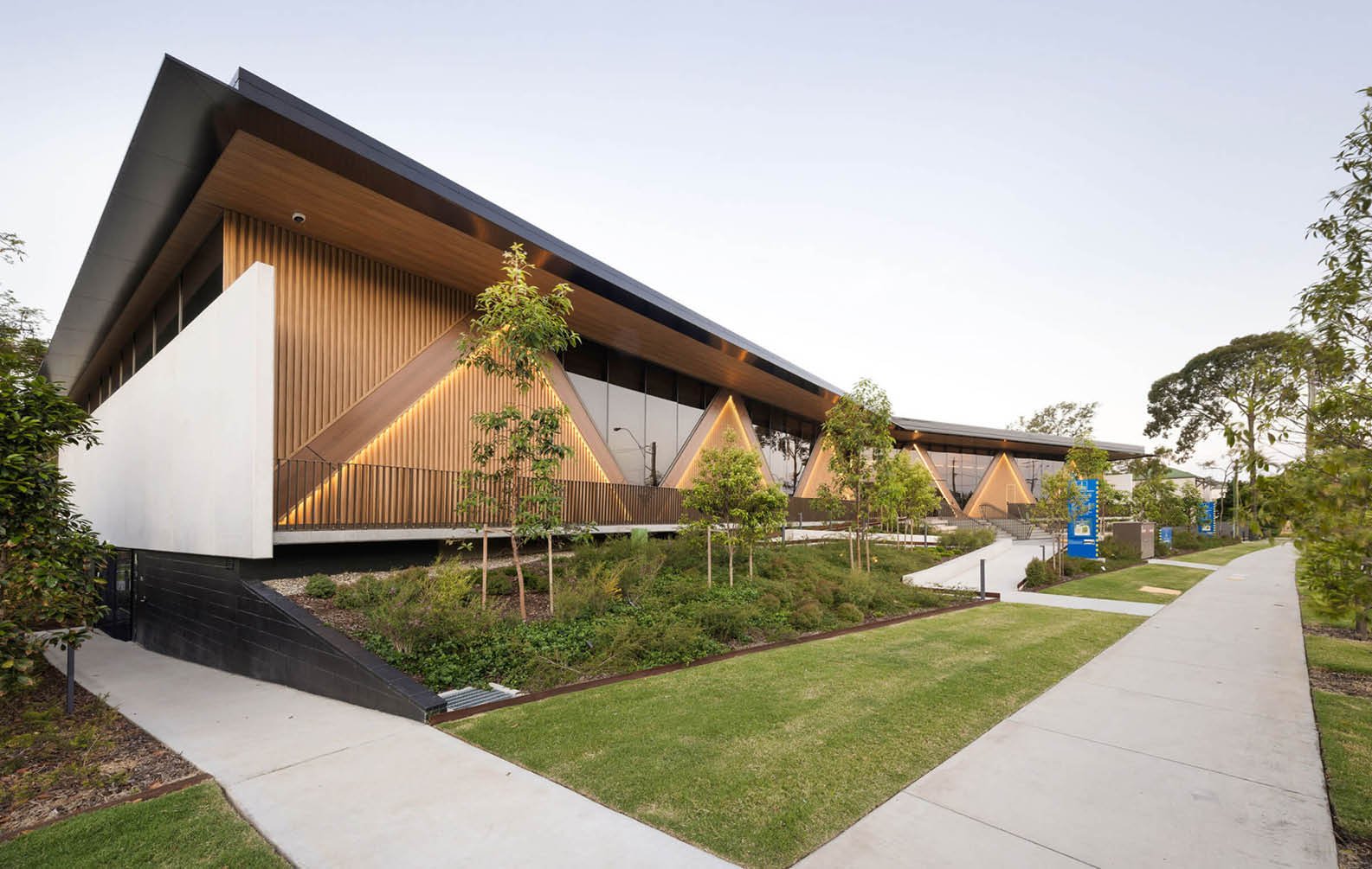 tree-canopy-inspired-facade-at-everton-park_04