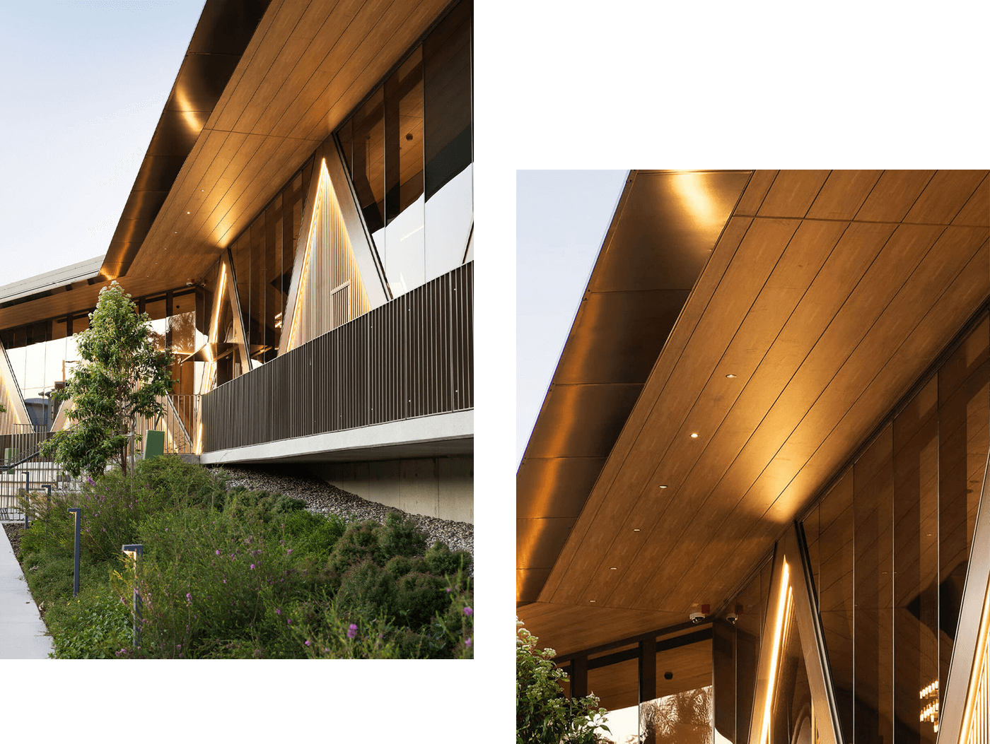 tree-canopy-inspired-facade-at-everton-park_08